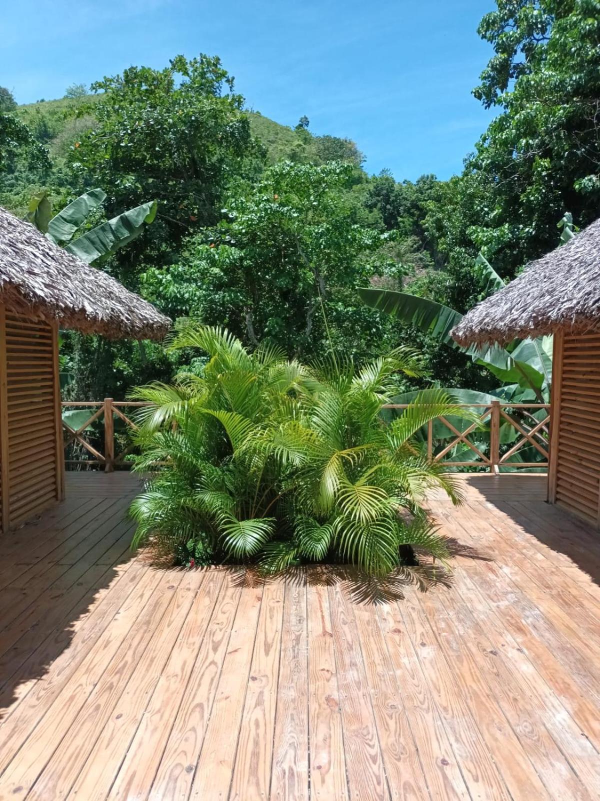Samo Eco Lodge Las Terrenas Dış mekan fotoğraf