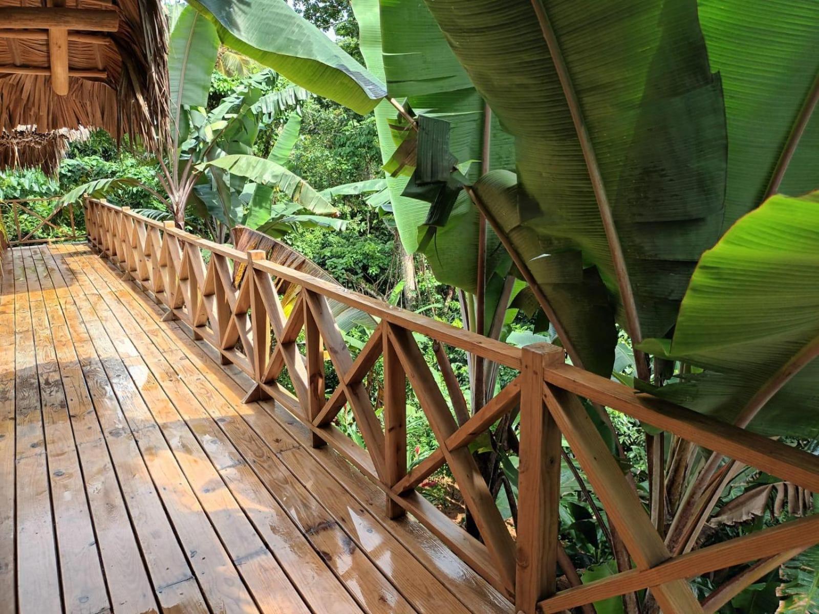 Samo Eco Lodge Las Terrenas Dış mekan fotoğraf
