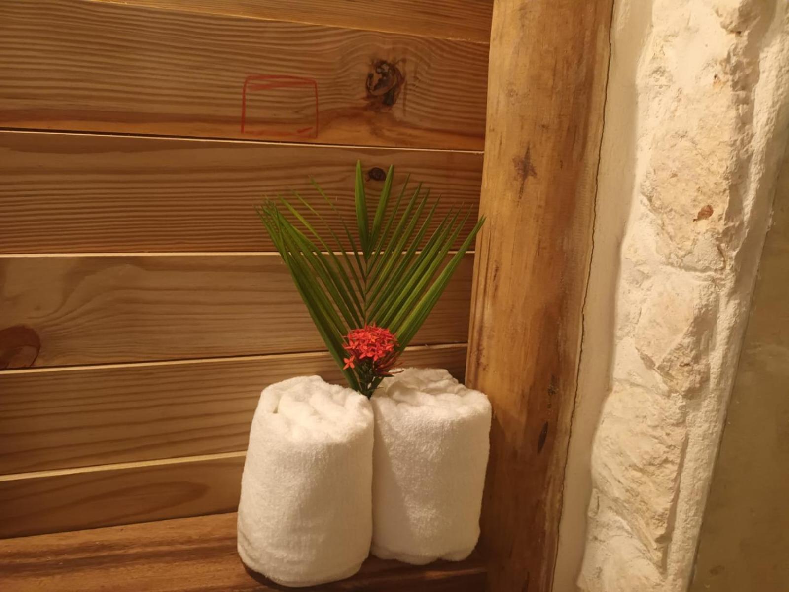 Samo Eco Lodge Las Terrenas Dış mekan fotoğraf