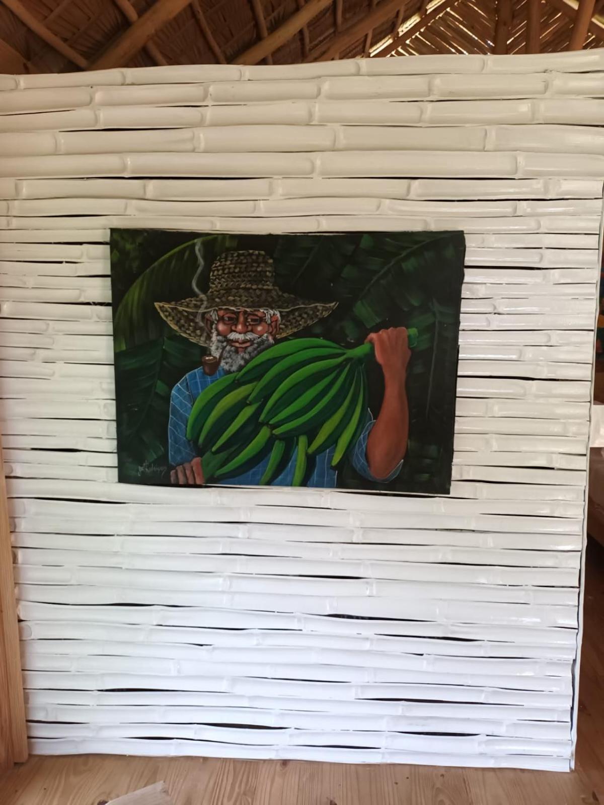 Samo Eco Lodge Las Terrenas Dış mekan fotoğraf