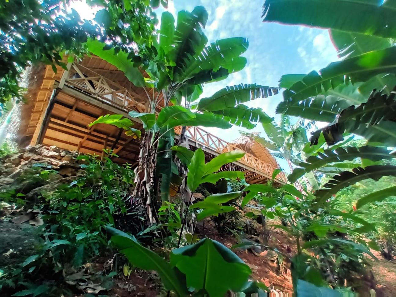 Samo Eco Lodge Las Terrenas Dış mekan fotoğraf