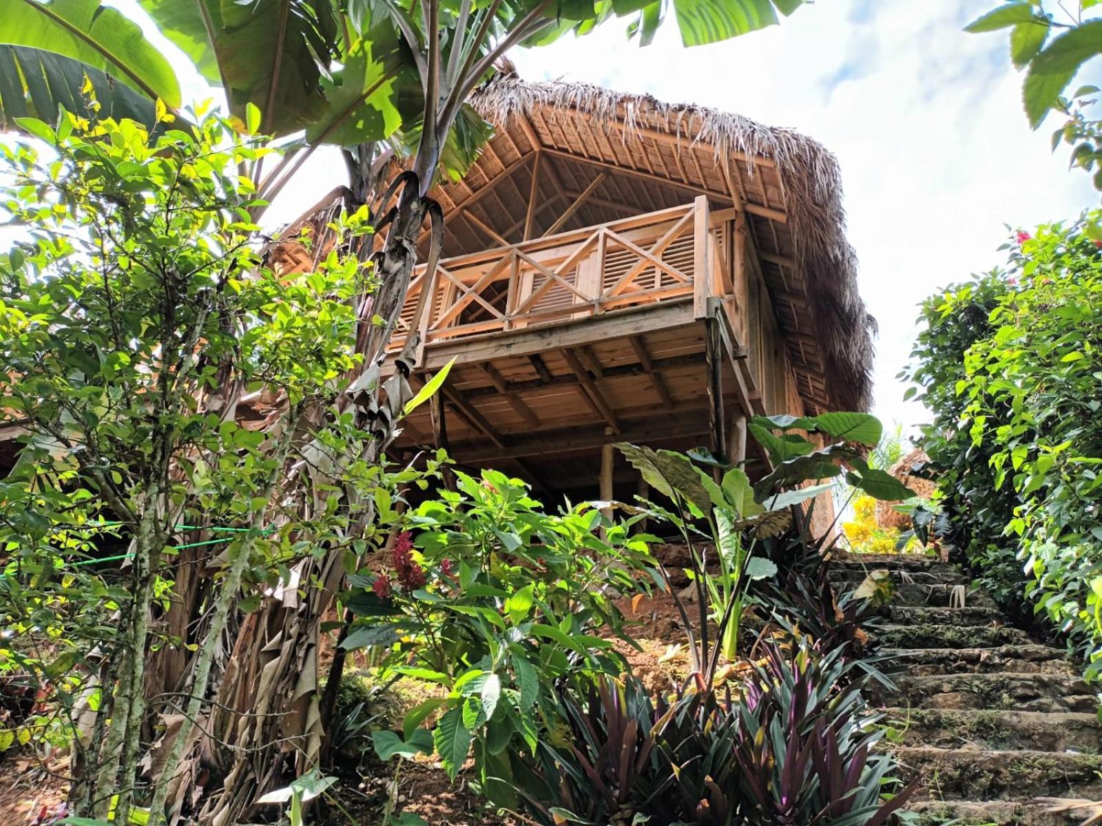 Samo Eco Lodge Las Terrenas Dış mekan fotoğraf