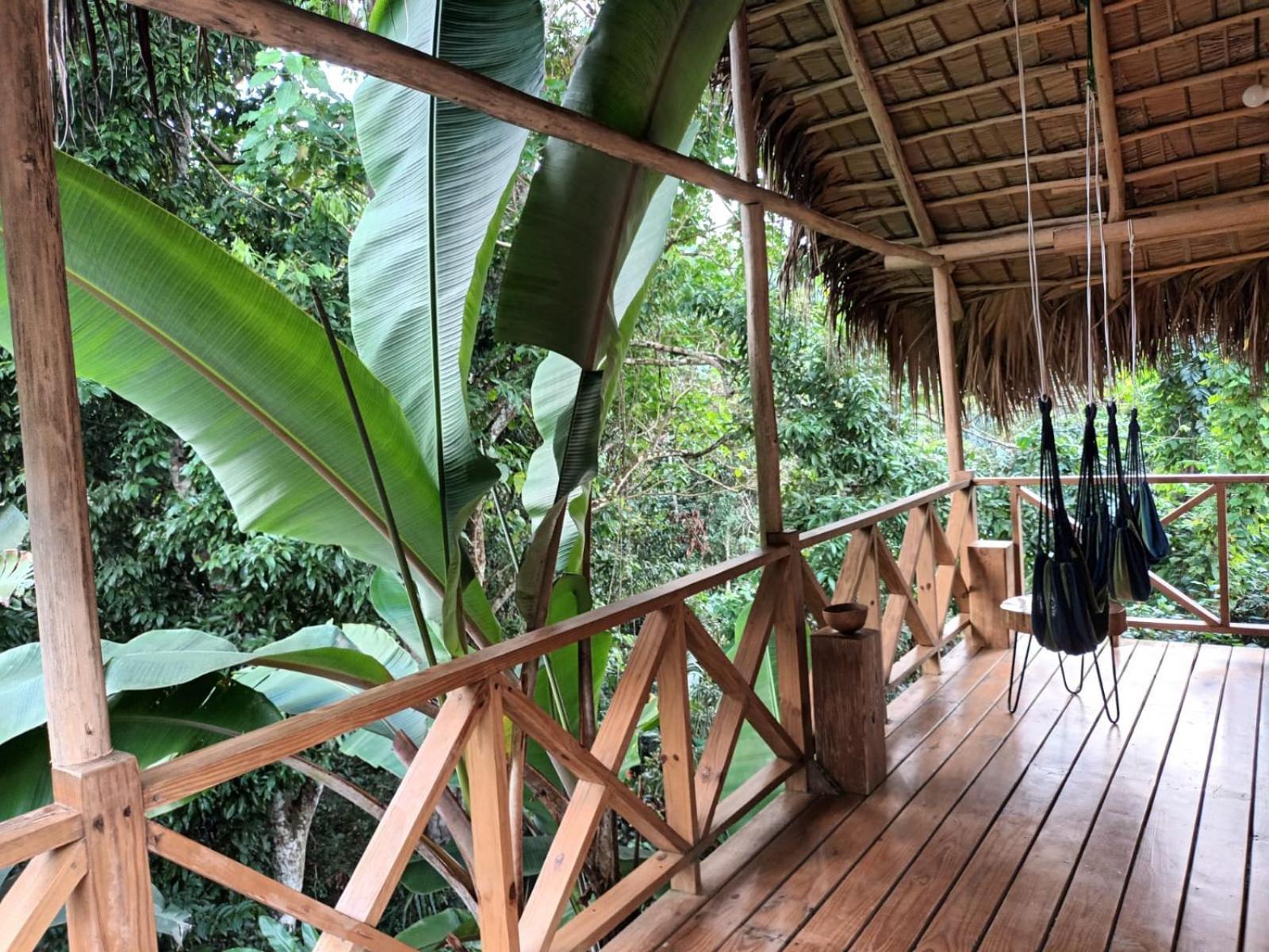 Samo Eco Lodge Las Terrenas Dış mekan fotoğraf