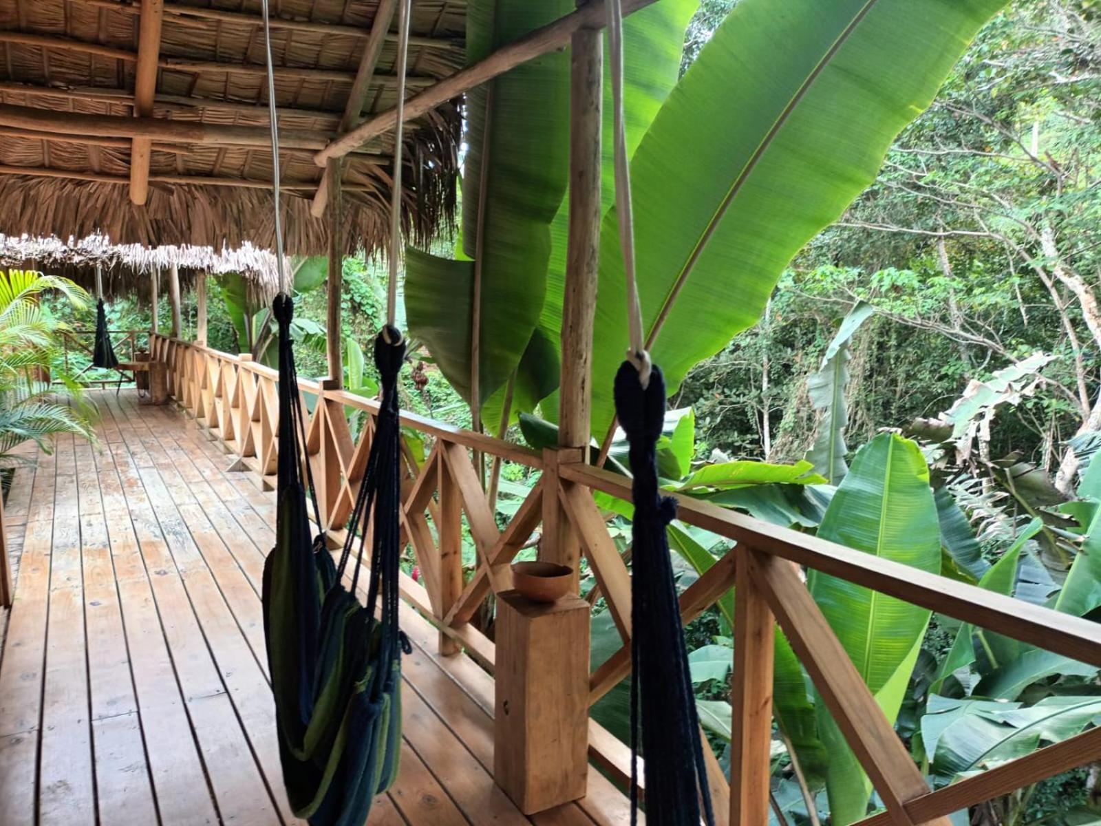 Samo Eco Lodge Las Terrenas Dış mekan fotoğraf